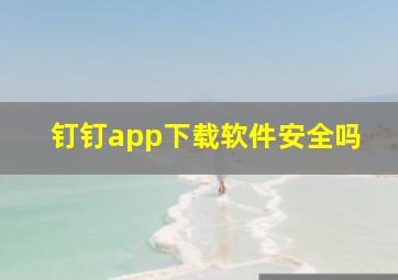 钉钉app下载软件安全吗