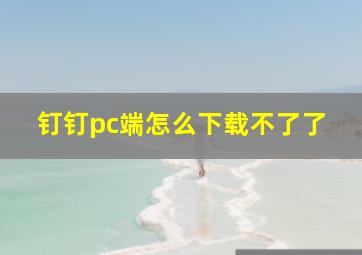 钉钉pc端怎么下载不了了