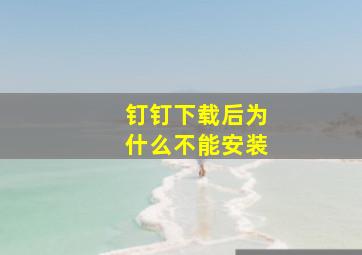 钉钉下载后为什么不能安装