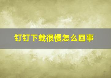 钉钉下载很慢怎么回事