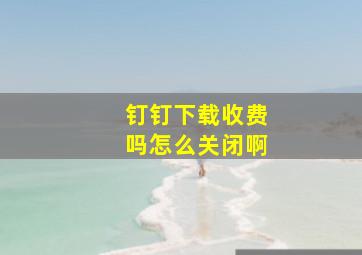 钉钉下载收费吗怎么关闭啊