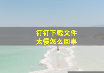 钉钉下载文件太慢怎么回事