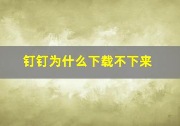 钉钉为什么下载不下来