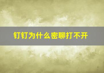 钉钉为什么密聊打不开