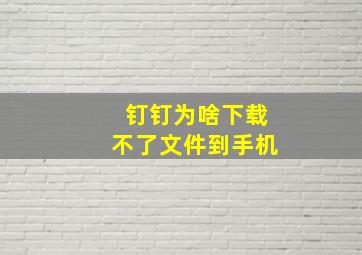 钉钉为啥下载不了文件到手机