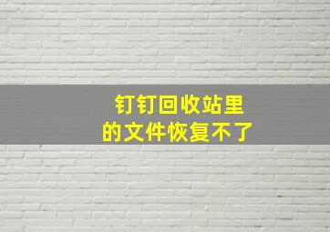 钉钉回收站里的文件恢复不了