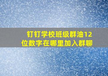 钉钉学校班级群油12位数字在哪里加入群聊