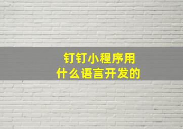 钉钉小程序用什么语言开发的