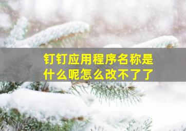 钉钉应用程序名称是什么呢怎么改不了了