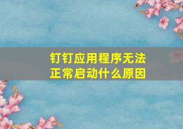 钉钉应用程序无法正常启动什么原因