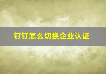 钉钉怎么切换企业认证