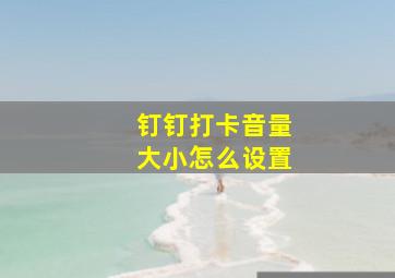 钉钉打卡音量大小怎么设置