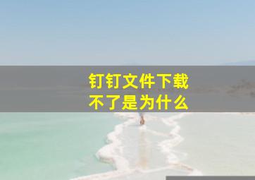 钉钉文件下载不了是为什么