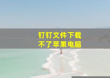 钉钉文件下载不了苹果电脑