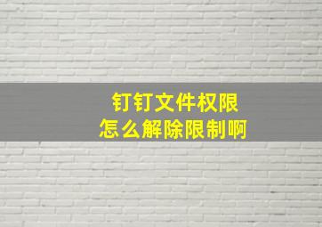 钉钉文件权限怎么解除限制啊