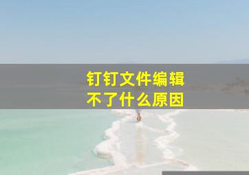 钉钉文件编辑不了什么原因