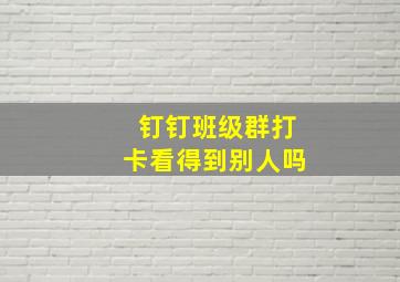 钉钉班级群打卡看得到别人吗