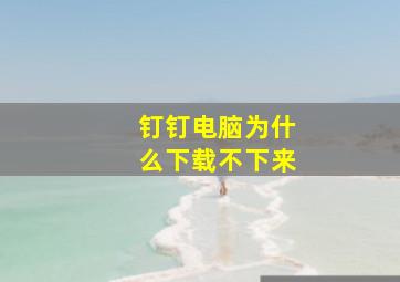 钉钉电脑为什么下载不下来