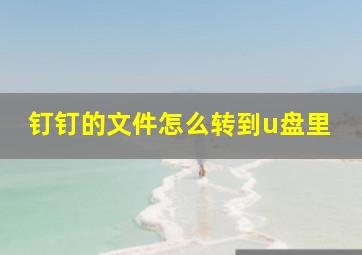 钉钉的文件怎么转到u盘里