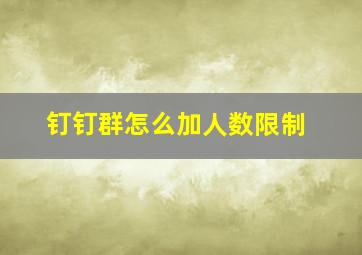 钉钉群怎么加人数限制