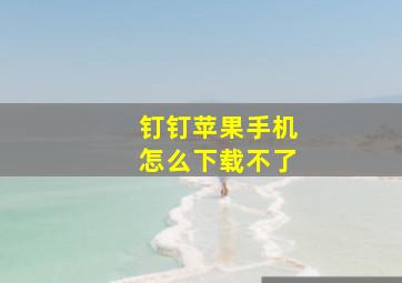 钉钉苹果手机怎么下载不了