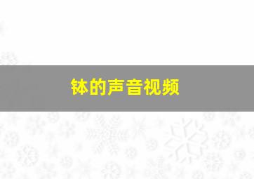 钵的声音视频