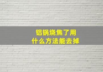 铝锅烧焦了用什么方法能去掉