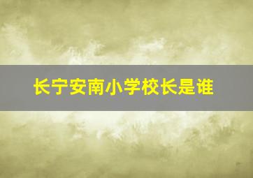 长宁安南小学校长是谁