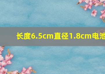 长度6.5cm直径1.8cm电池