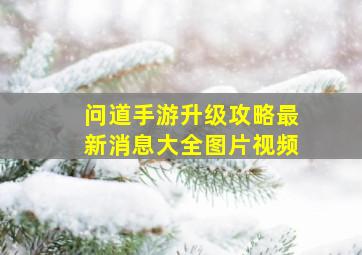 问道手游升级攻略最新消息大全图片视频