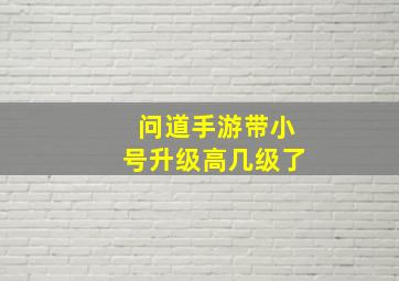 问道手游带小号升级高几级了