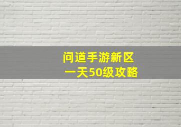 问道手游新区一天50级攻略