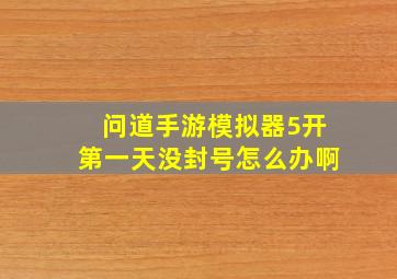 问道手游模拟器5开第一天没封号怎么办啊