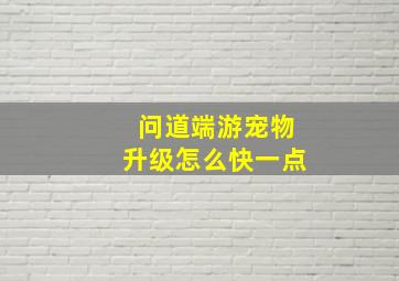 问道端游宠物升级怎么快一点