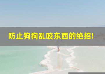 防止狗狗乱咬东西的绝招!