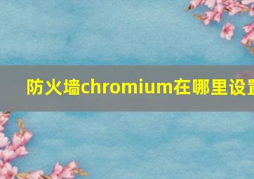 防火墙chromium在哪里设置