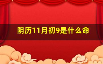 阴历11月初9是什么命