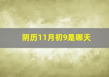 阴历11月初9是哪天