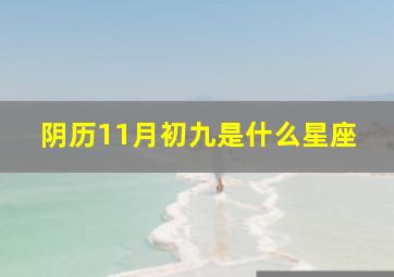 阴历11月初九是什么星座