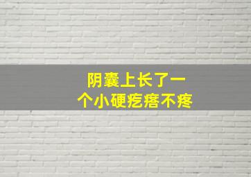 阴囊上长了一个小硬疙瘩不疼