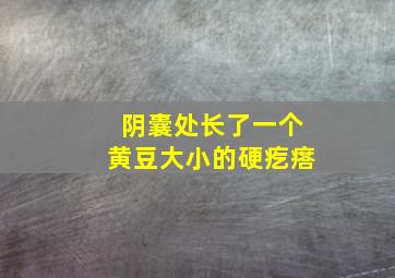 阴囊处长了一个黄豆大小的硬疙瘩