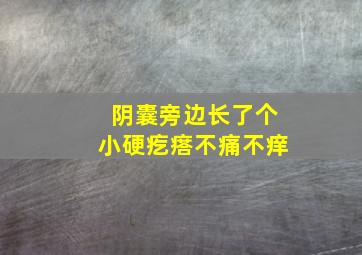 阴囊旁边长了个小硬疙瘩不痛不痒