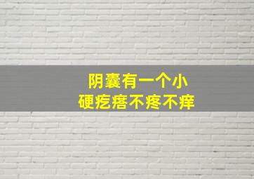 阴囊有一个小硬疙瘩不疼不痒