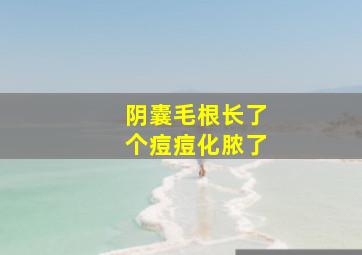 阴囊毛根长了个痘痘化脓了