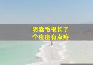 阴囊毛根长了个痘痘有点疼