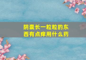 阴囊长一粒粒的东西有点痒用什么药