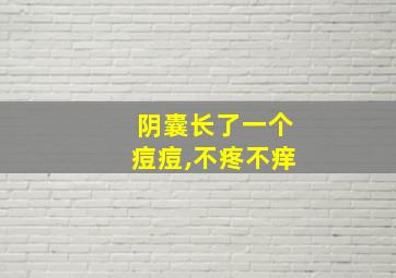 阴囊长了一个痘痘,不疼不痒