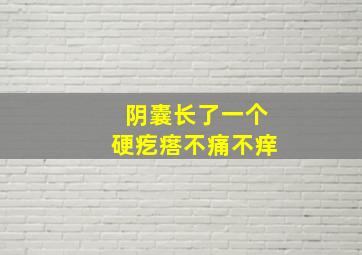 阴囊长了一个硬疙瘩不痛不痒