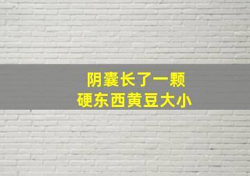 阴囊长了一颗硬东西黄豆大小