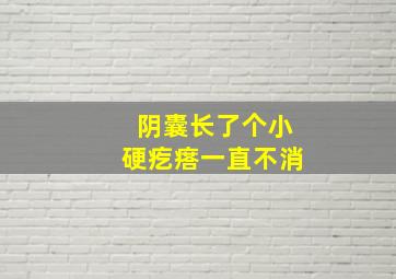 阴囊长了个小硬疙瘩一直不消